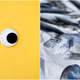 Illustration for article titled Fishmonger shut down for sticking googly eyes on fish
